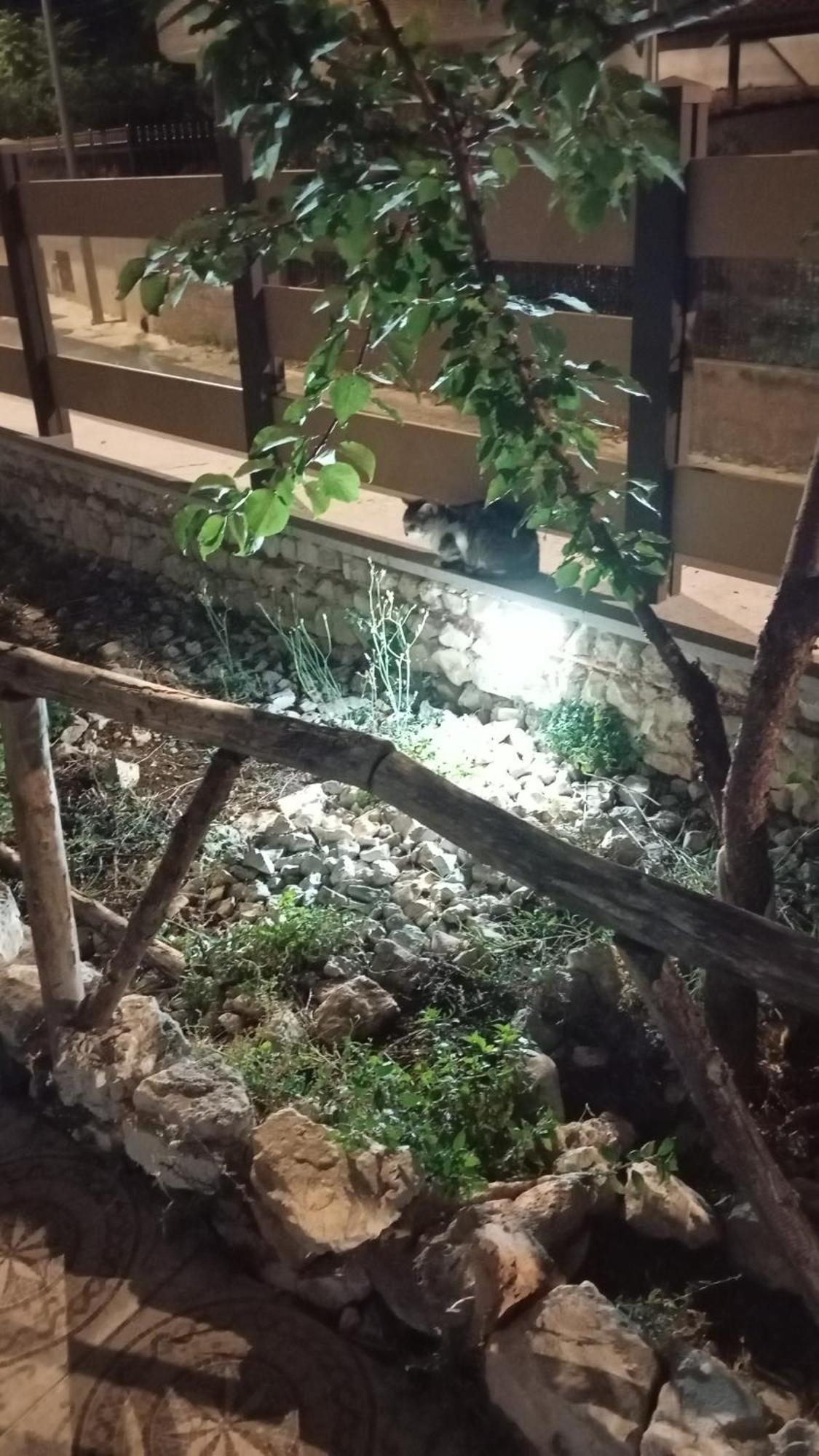 Villa Uria Monolocali Con E Senza Angolo Cottura Ischitella Exterior foto